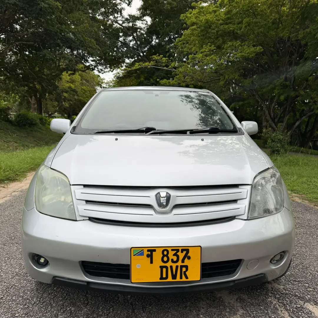 Toyota Ist 2004 Silver