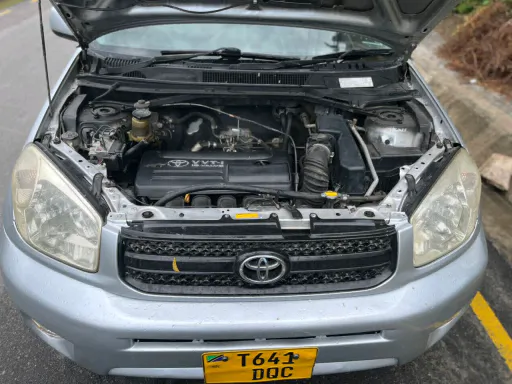 Toyota RAV4 L (Killtime) 2003