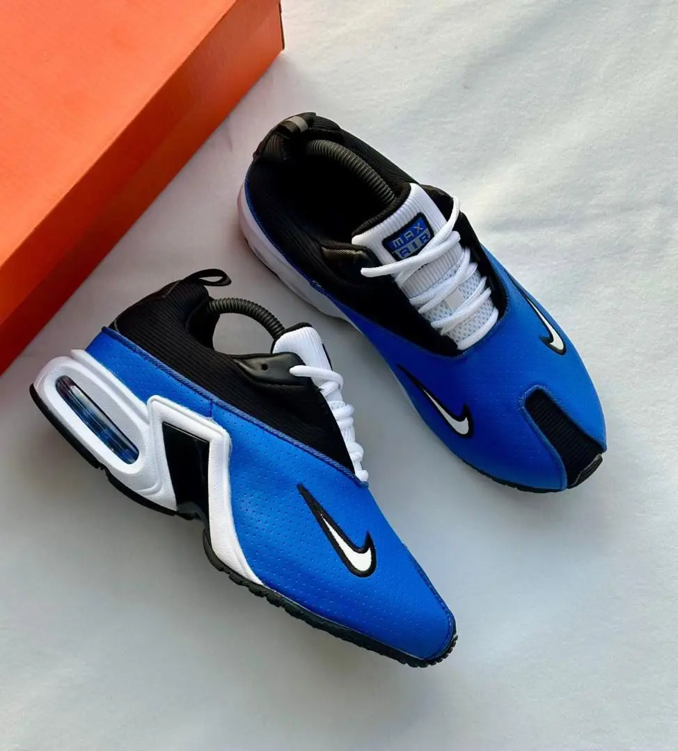 Nike Air Max Sneakers