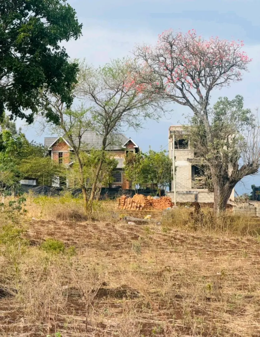 Viwanja vya Ardhi Vinavyouzwa Kikatiti (15x20) thumbnail 4