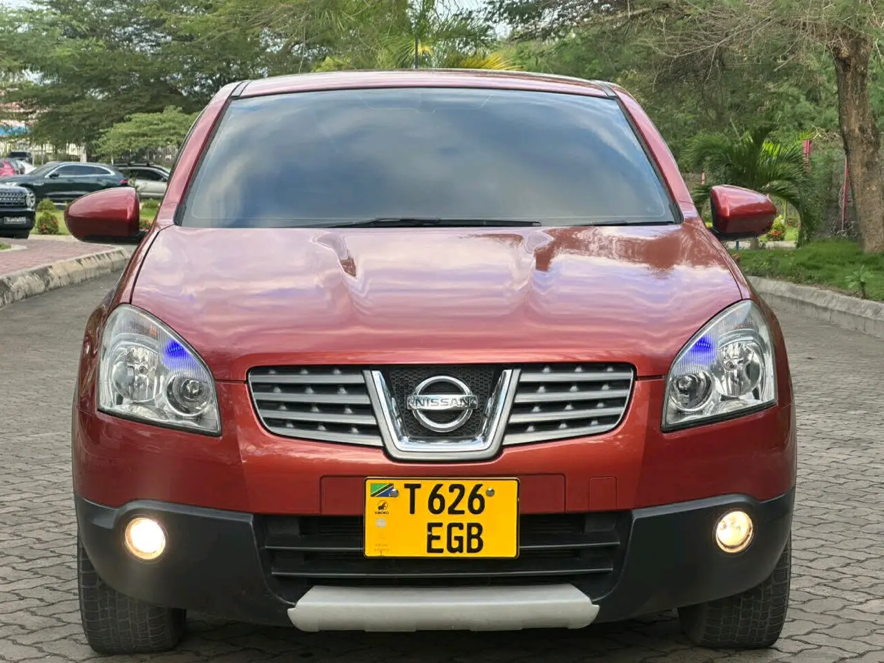 Nissan Dualis 2010
