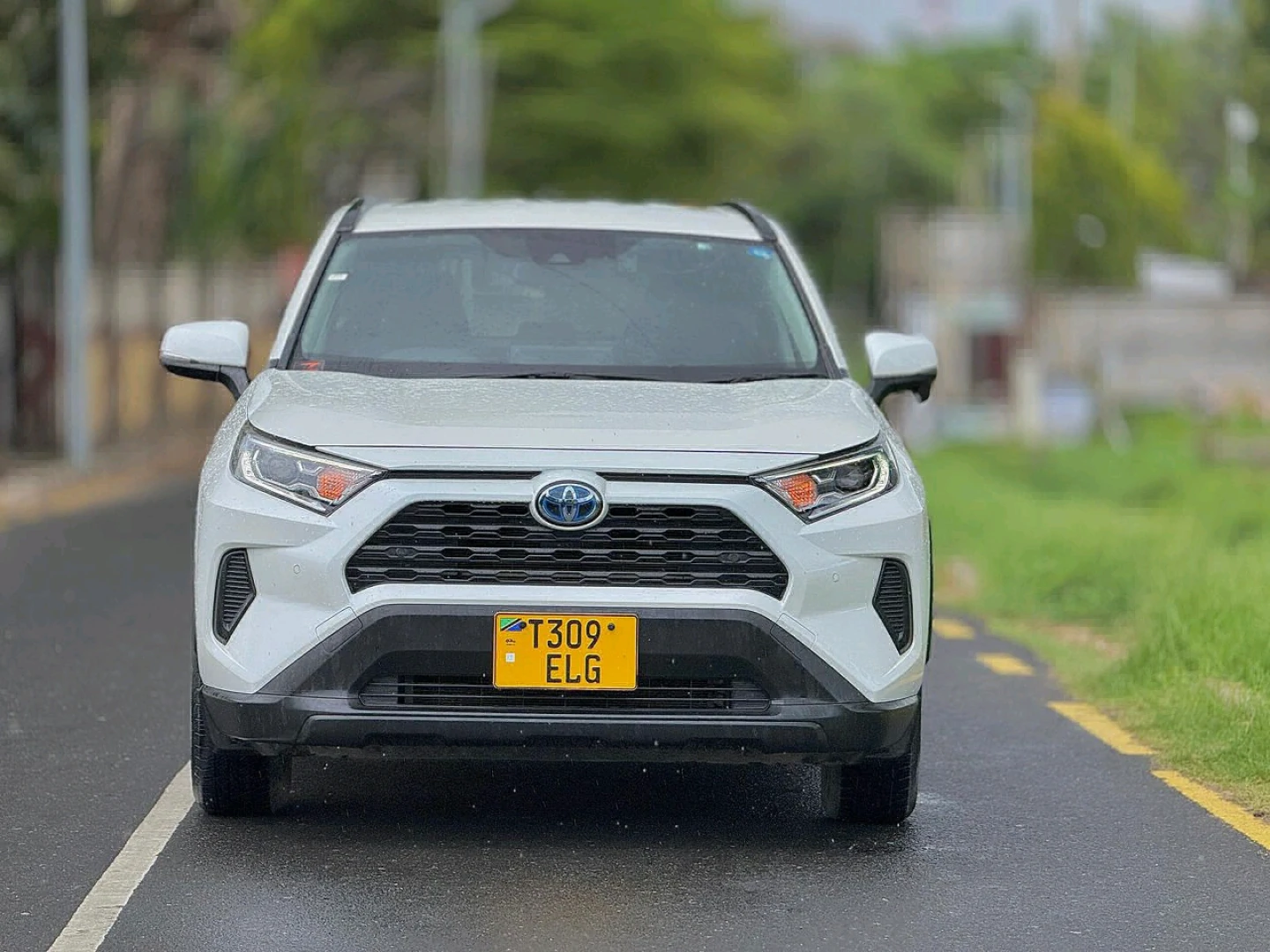 Toyota RAV4 Hybrid 2019 Automatic