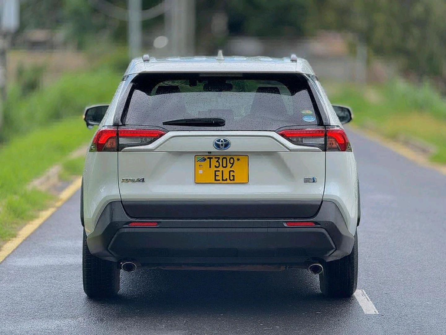 Toyota RAV4 Hybrid 2019 Automatic thumbnail 2