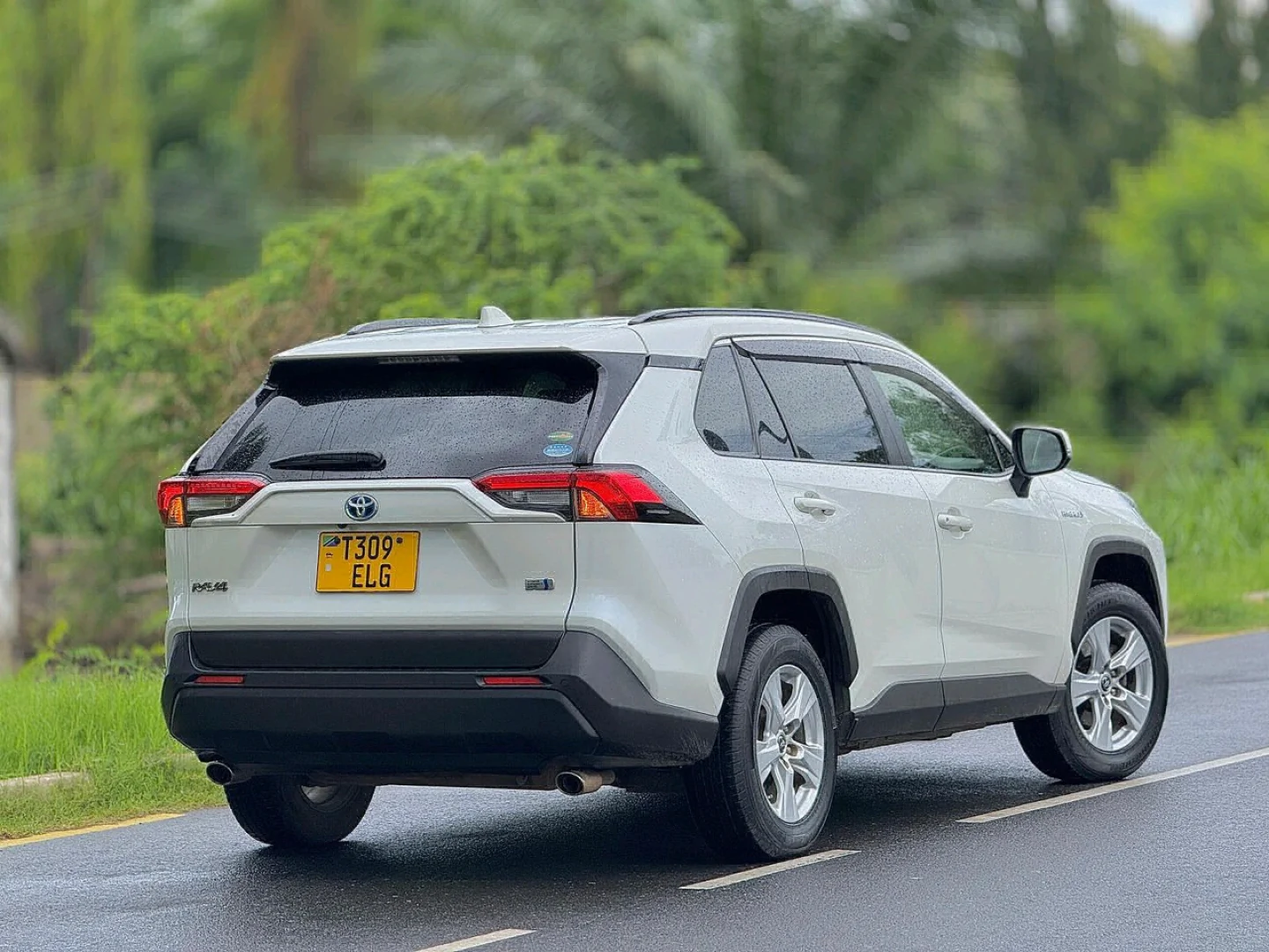 Toyota RAV4 Hybrid 2019 Automatic thumbnail 6