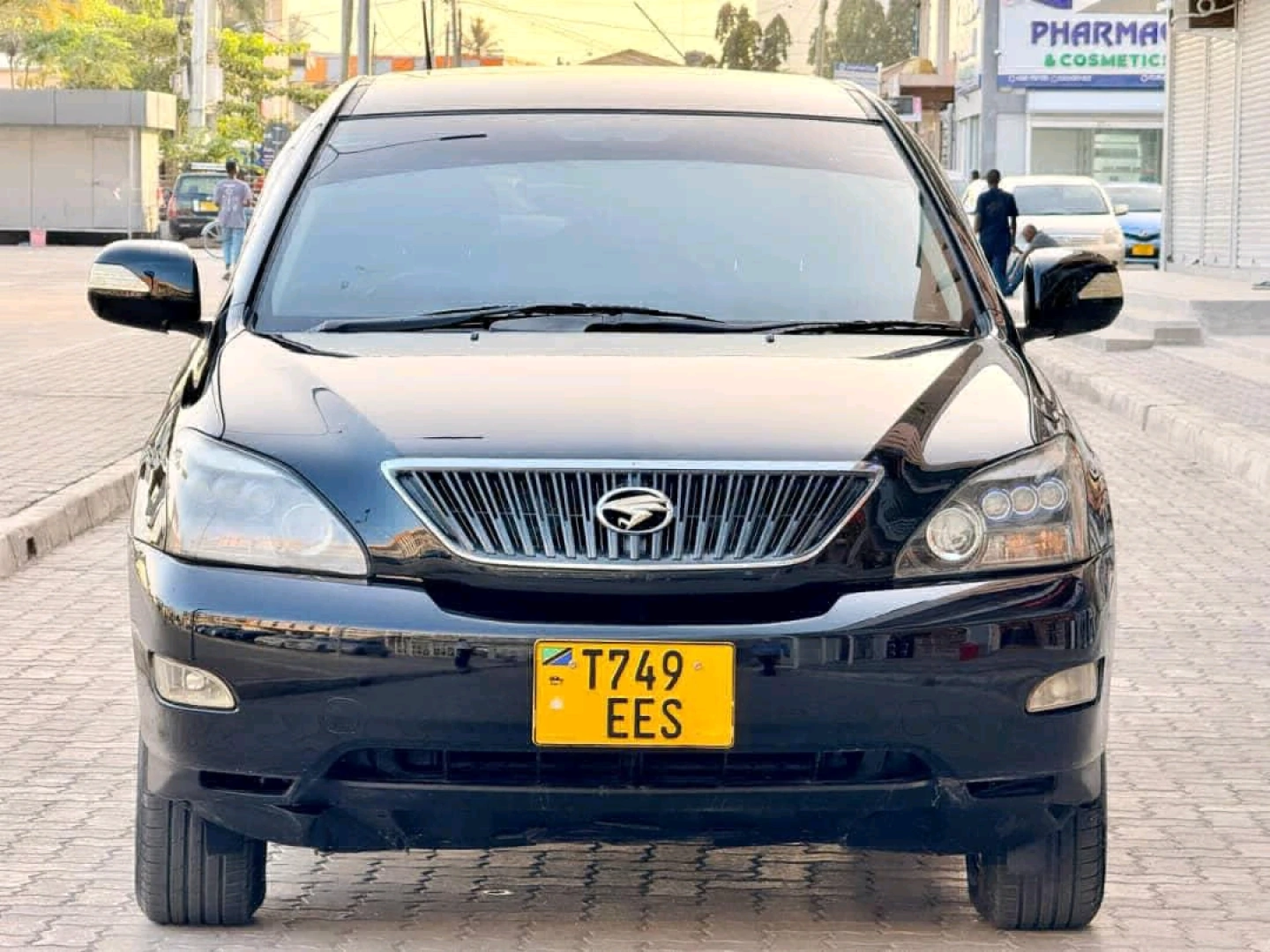 Toyota Harrier 2008 EES