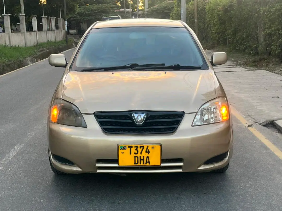 Toyota Allex Gold Hatchback
