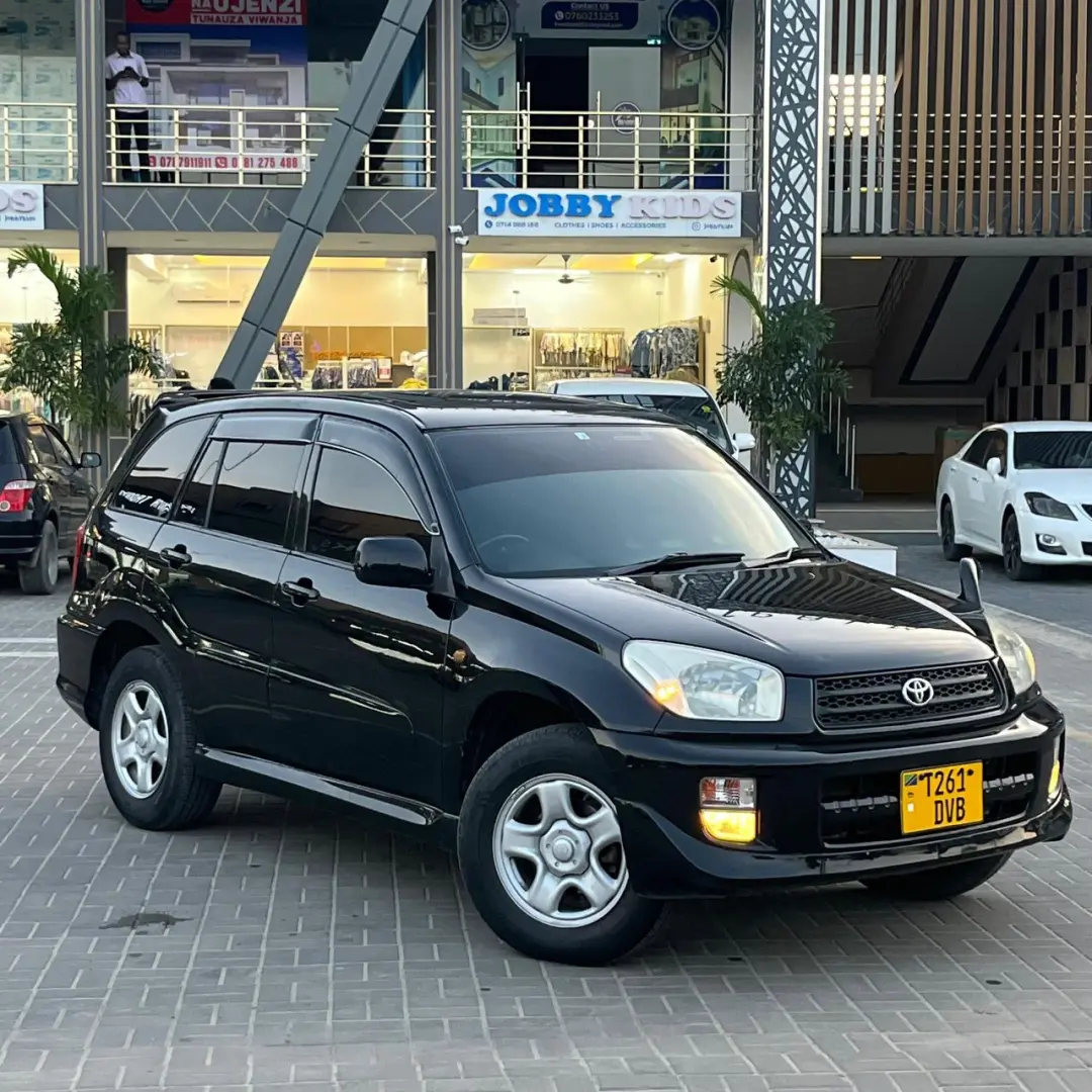 2001 Toyota RAV4 L (Kilitime) thumbnail 8