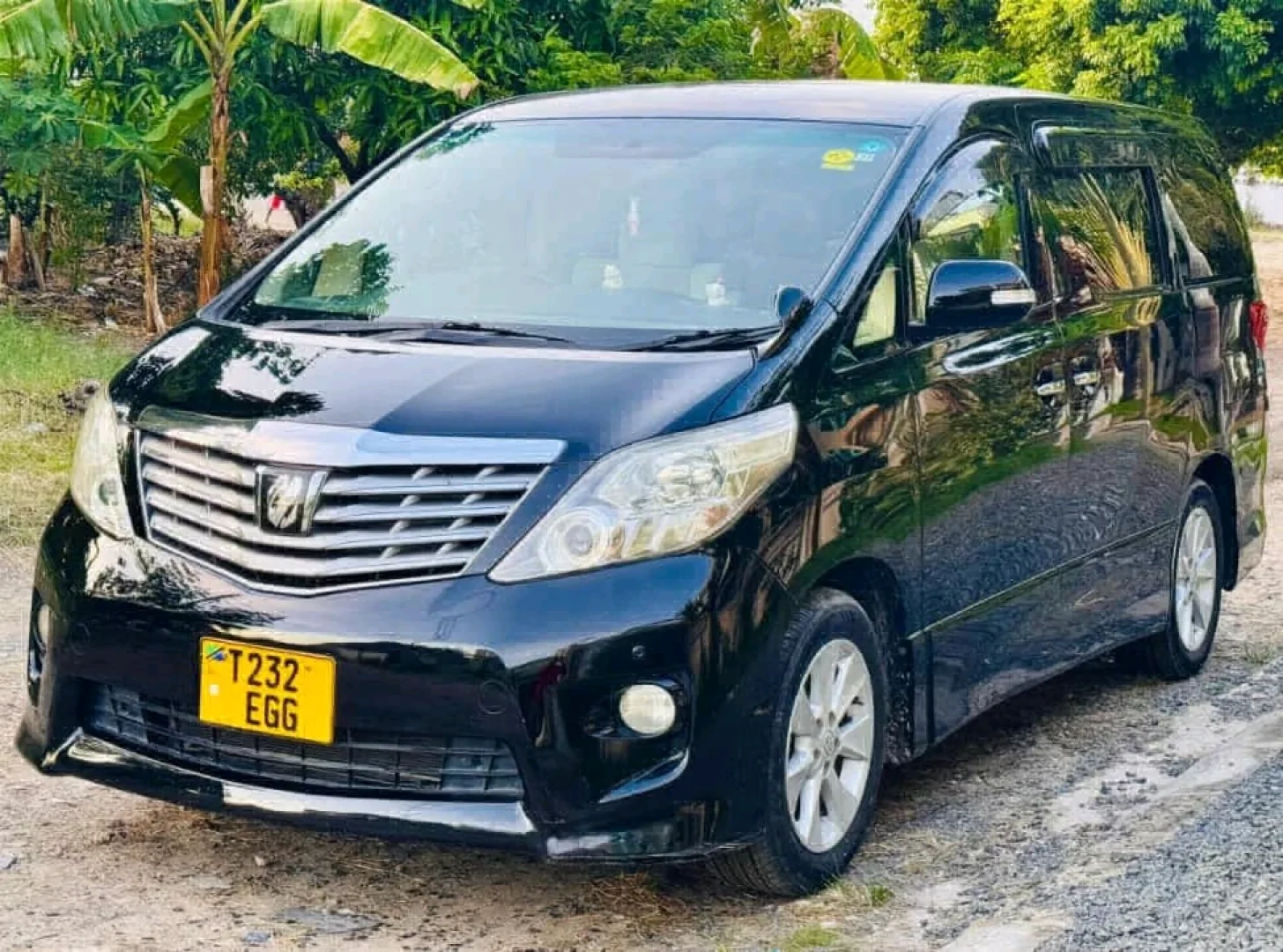 Toyota Alphard 2010 Black EGG thumbnail 2