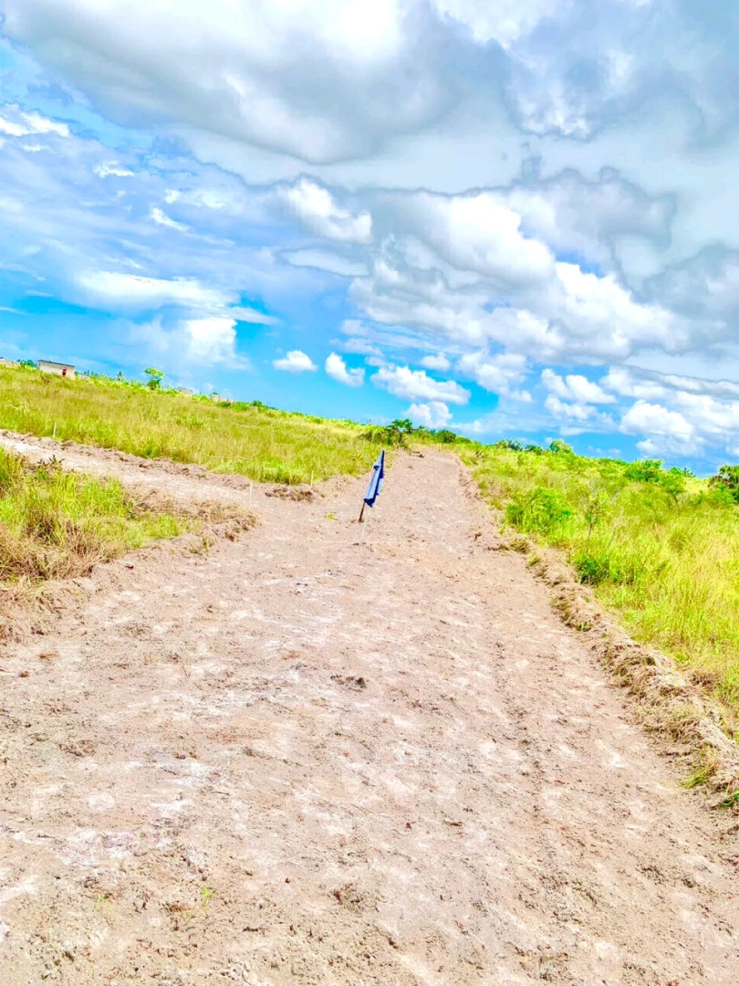 Kiwanja Kinauzwa Vikindu Changanyikeni 50x40 thumbnail 3