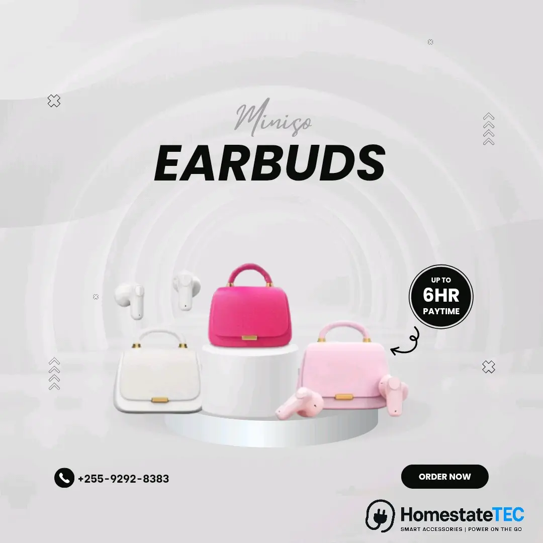 Handbag Style Wireless Earbuds SX-210