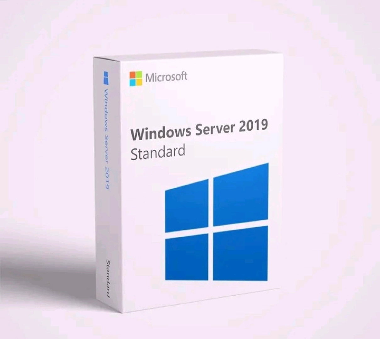 Microsoft Windows Server 2019 Standard Lifetime Activation