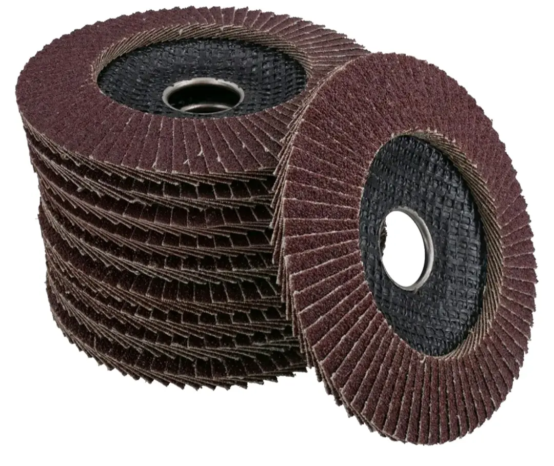 Set of 10 Abrasive Flap Discs