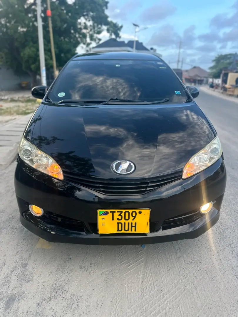 Toyota Wish 2010 Automatic Car