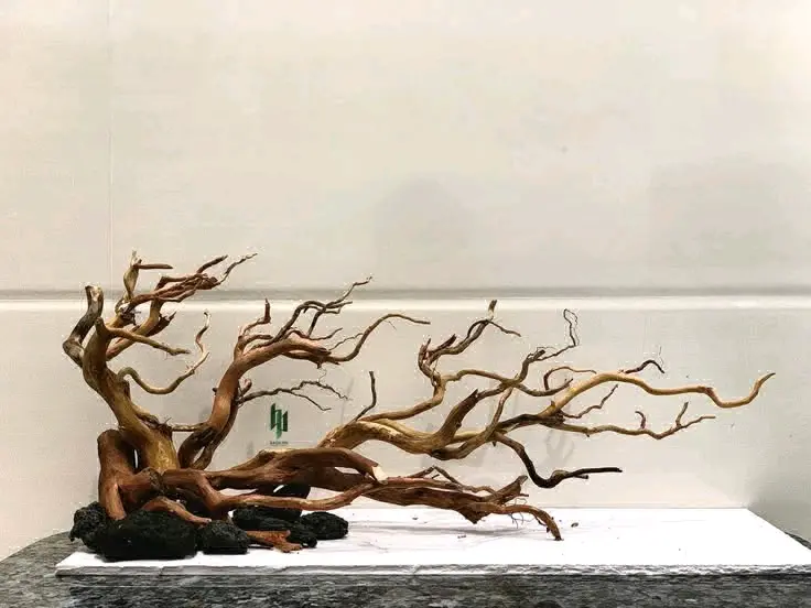 Driftwood for Aquarium or Bonsai Decoration