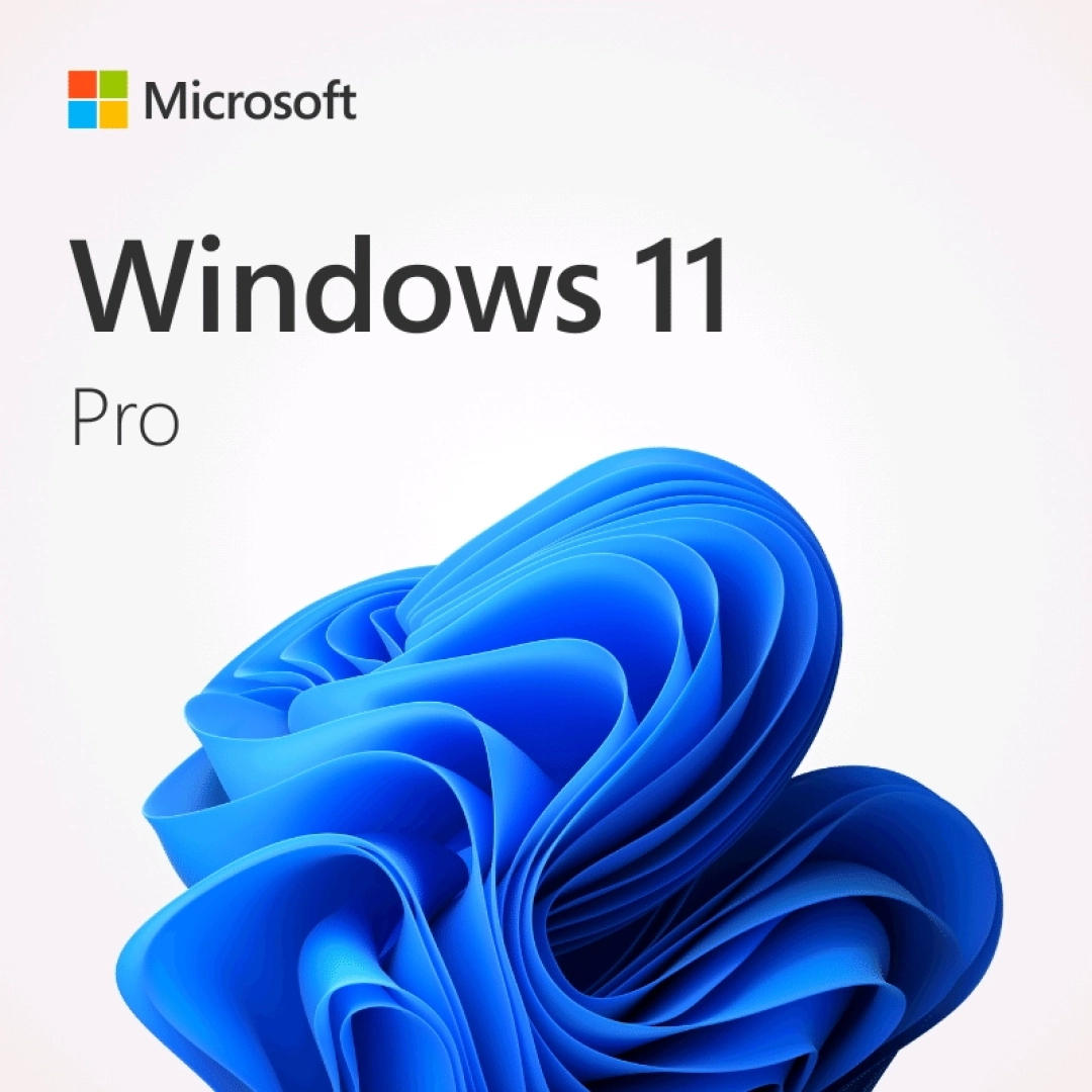 Windows 11 Pro Installation & Digital Activation Service