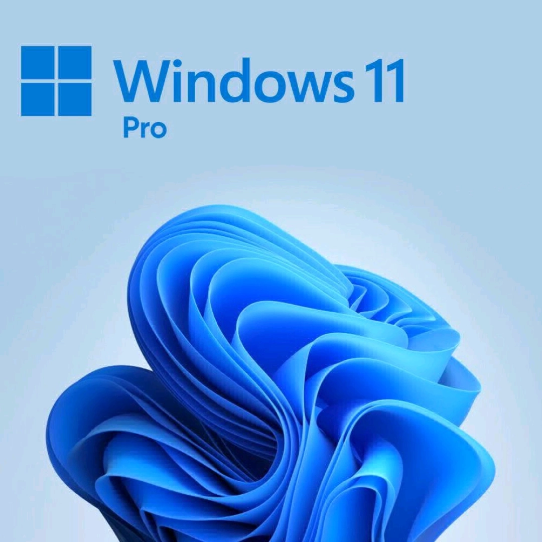 Windows 11 Pro Installation & Digital Activation Service thumbnail 2