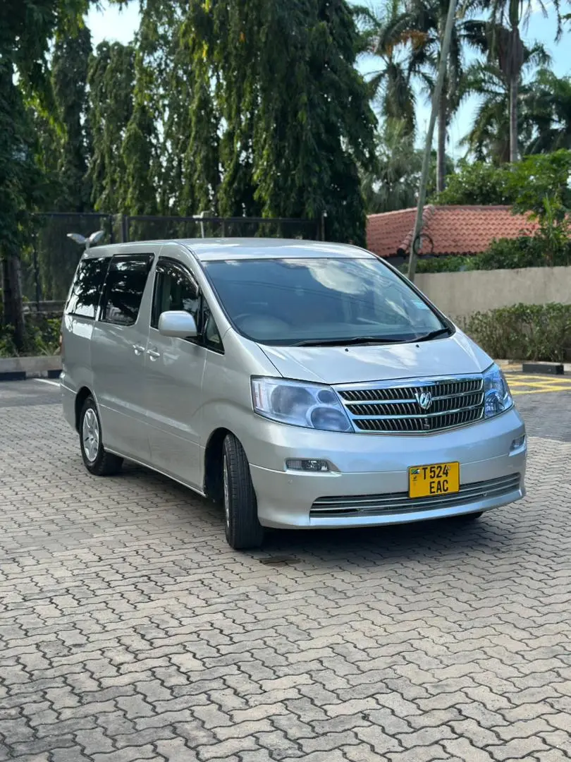 Toyota Alphard 2006 Silver thumbnail 6