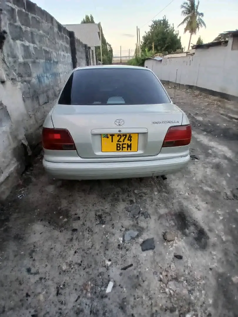 Toyota Corolla 2001 (BFM)