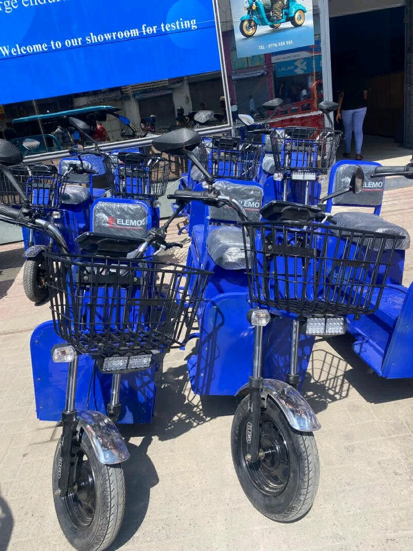 Elemo Electric Bike for Delivery and Cargo