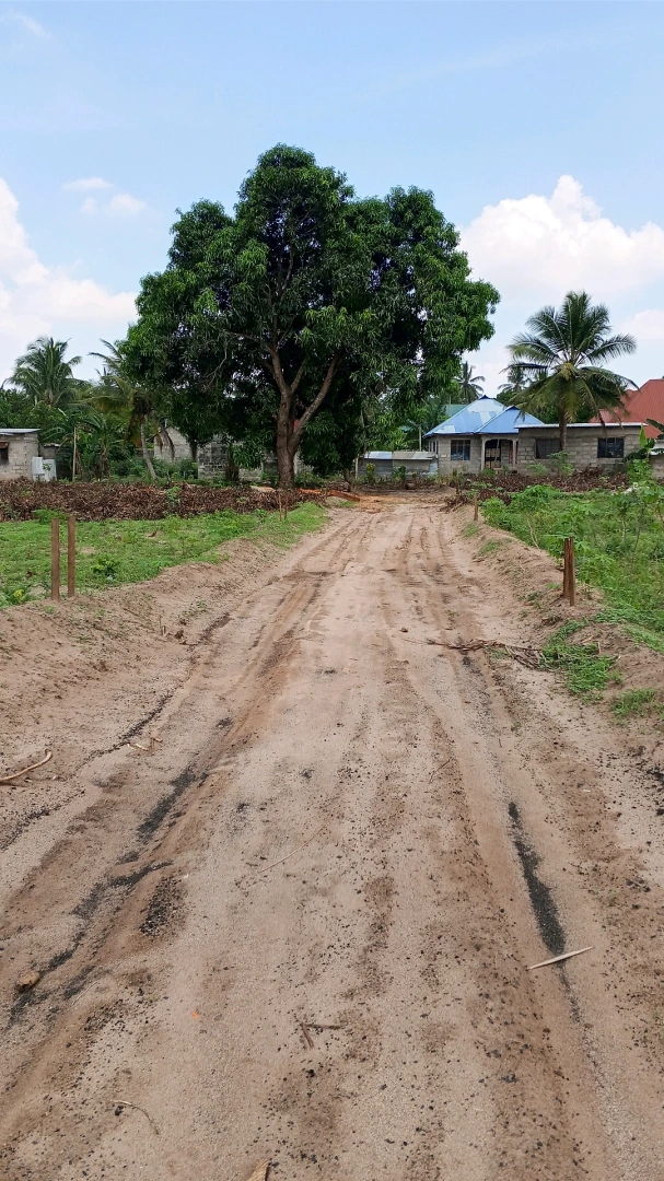 Viwanja Kitonga Stand Ilala (Plots of Land for Sale)