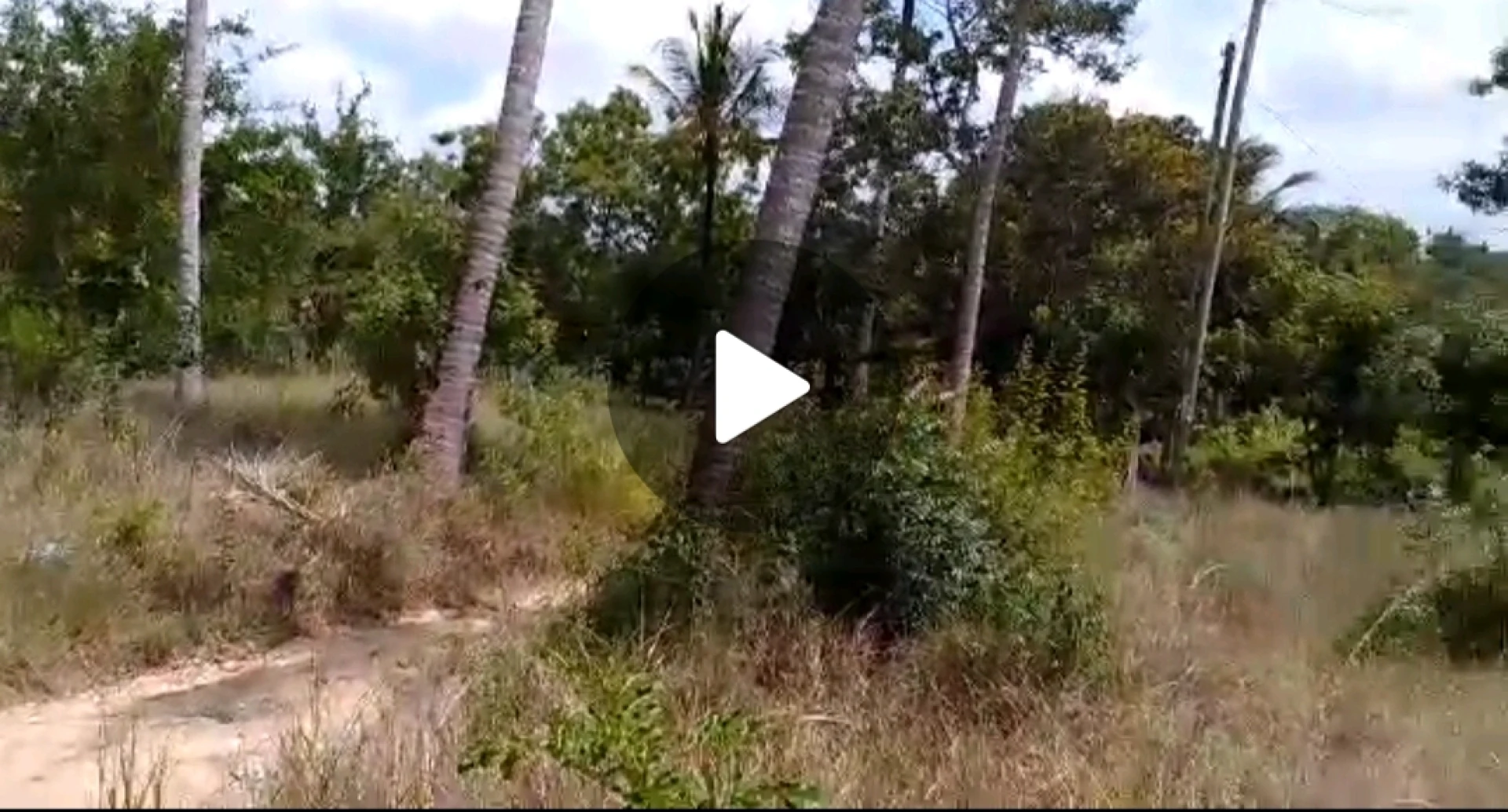 Surveyed 1 Acre Plot for Sale in Kibamba Shule, DSM thumbnail 2