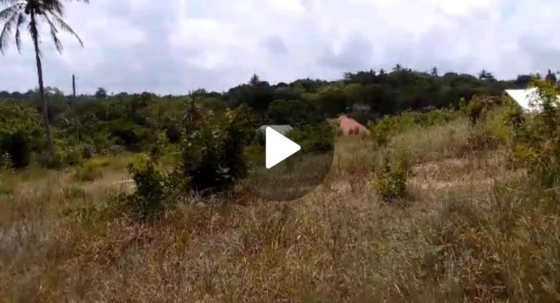 Surveyed 1 Acre Plot for Sale in Kibamba Shule, DSM thumbnail 3