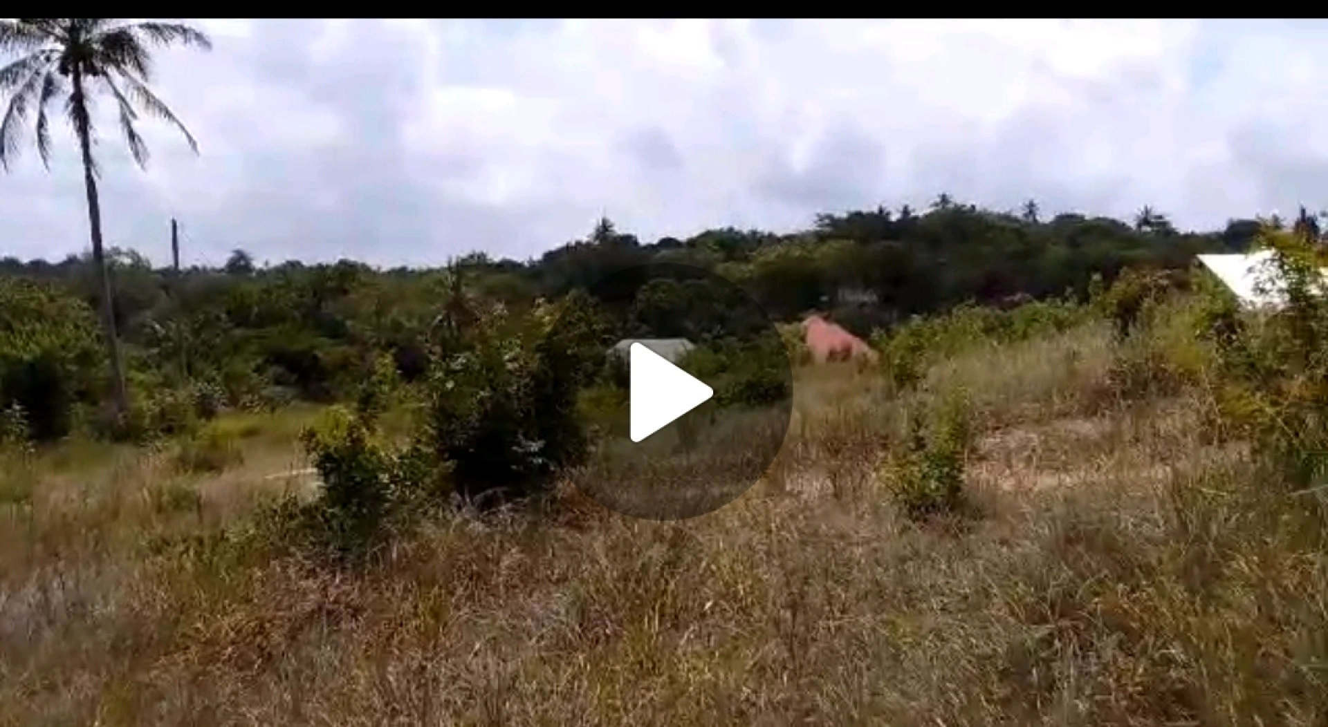 Surveyed 1 Acre Plot for Sale in Kibamba Shule, DSM thumbnail 4