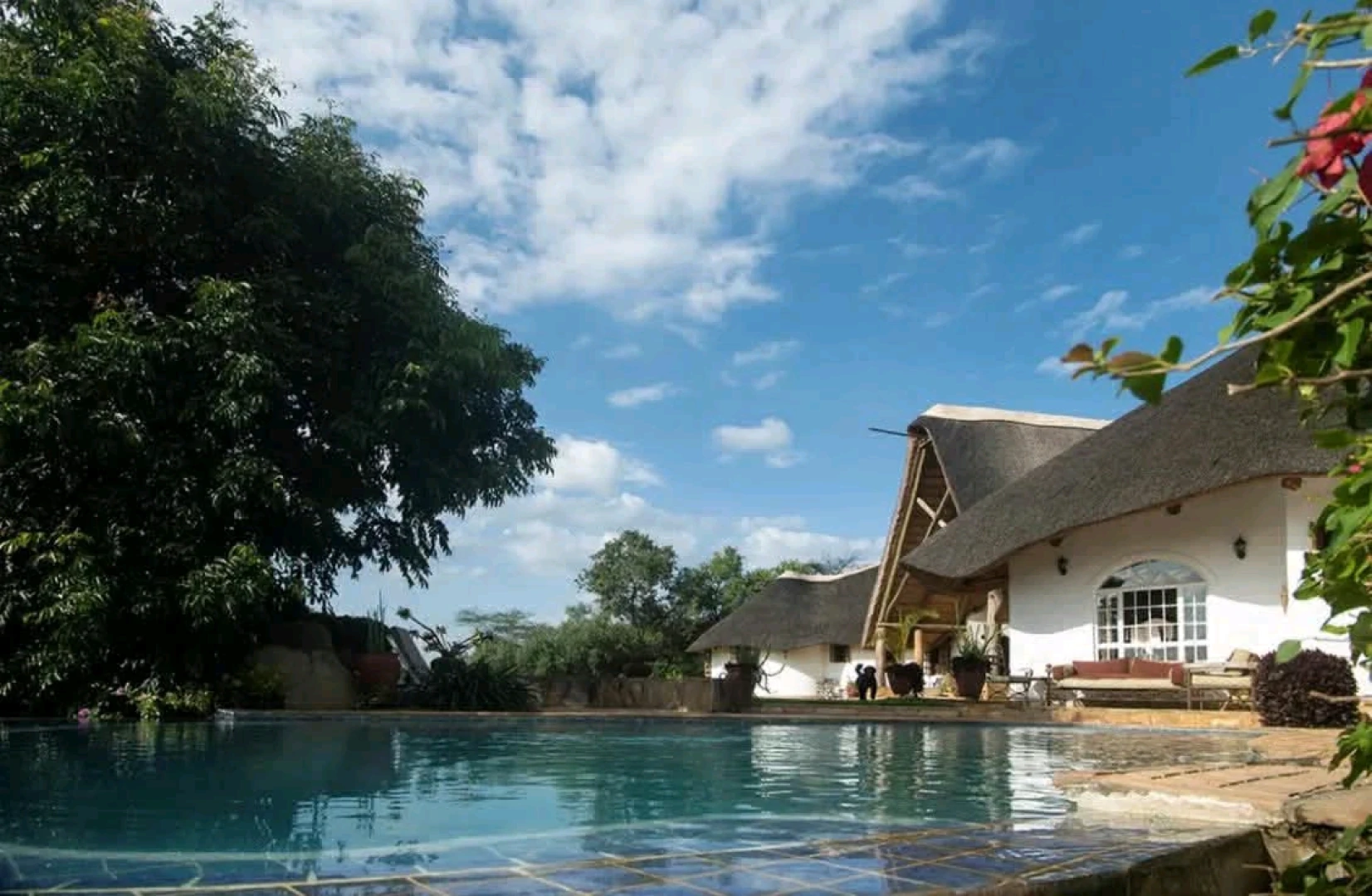 Magnificent 3-Bedroom Luxury Estate House for Sale in Dolly Estate, Arusha (68 Acres) thumbnail 3