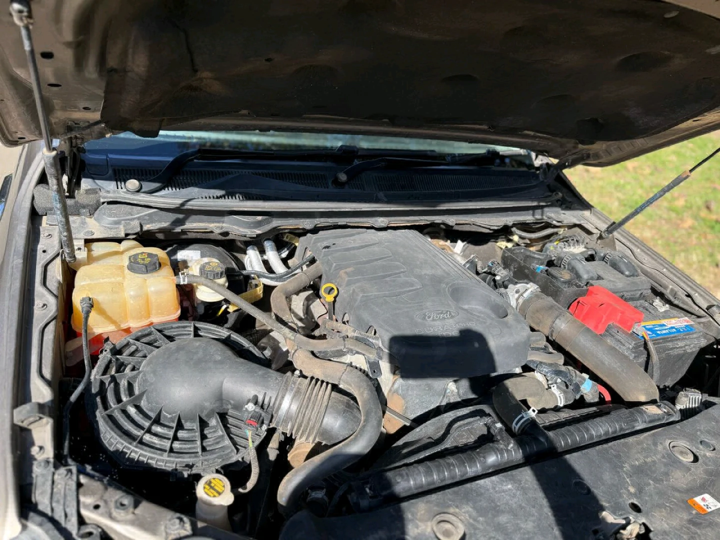 2020 Ford Ranger Pickup Truck Automatic Diesel thumbnail 4
