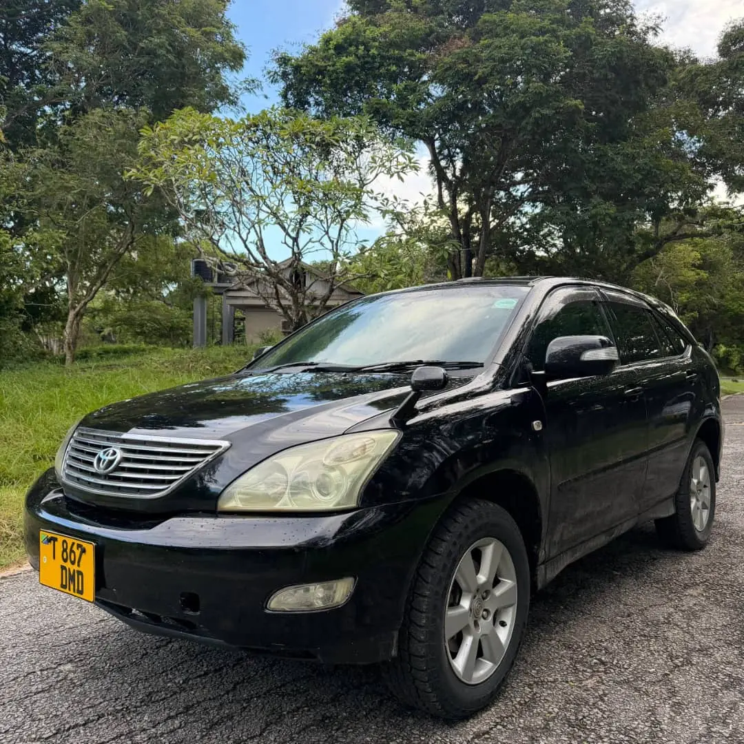 Toyota Harrier 2006 thumbnail 2