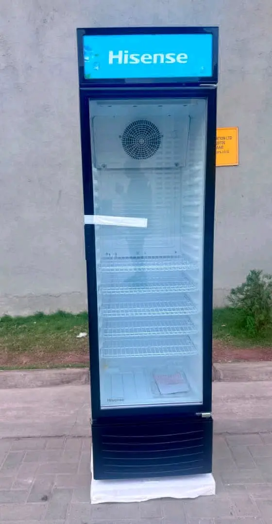 Hisense Showcase Fridge FL36 (297L)