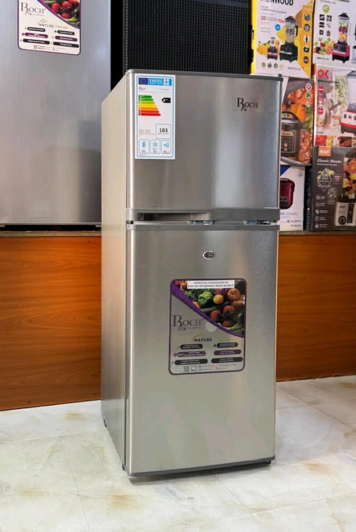 Roch 110 Liter Inox Fridge with Top Freezer