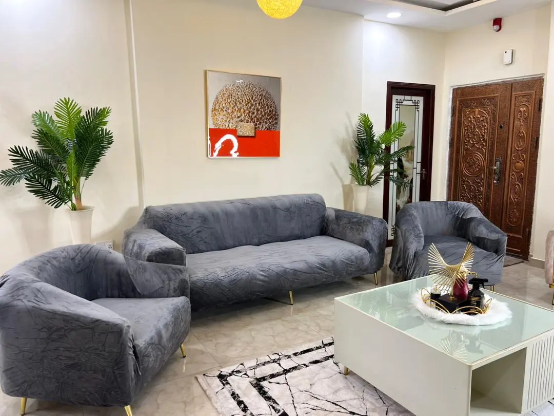 Velvet Sofa Covers (3:2:1:1 Set) thumbnail 4