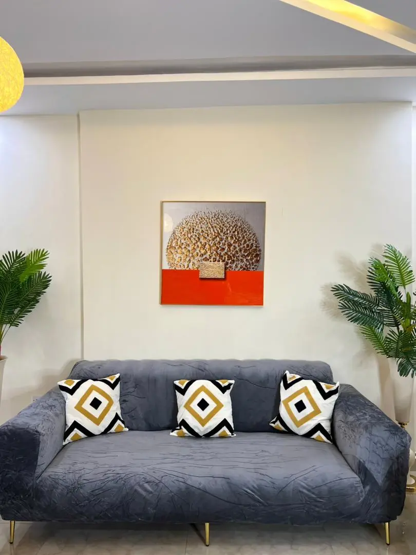 Velvet Sofa Covers (3:2:1:1 Set) thumbnail 9