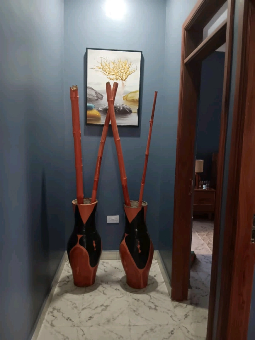 2 Bedroom Furnished House for Rent Gomba Estate Arusha thumbnail 7