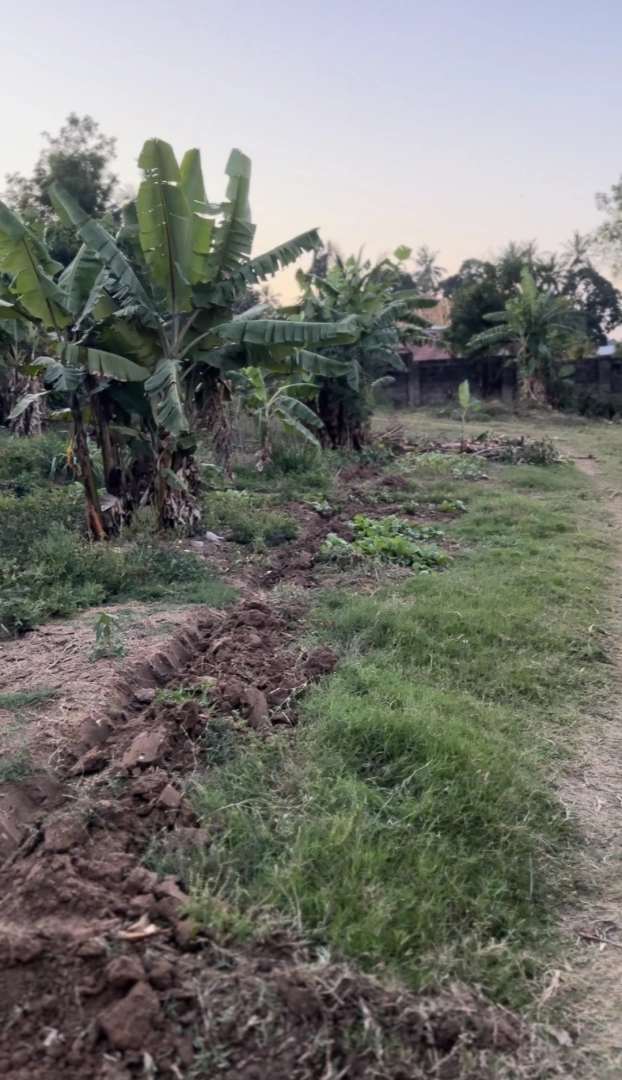 Surveyed Land Plots 20x20 for Sale Mbezi Luis Makabe thumbnail 2
