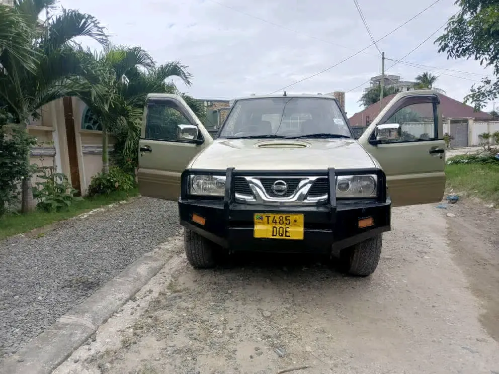 Nissan Terrano 2004 thumbnail 2