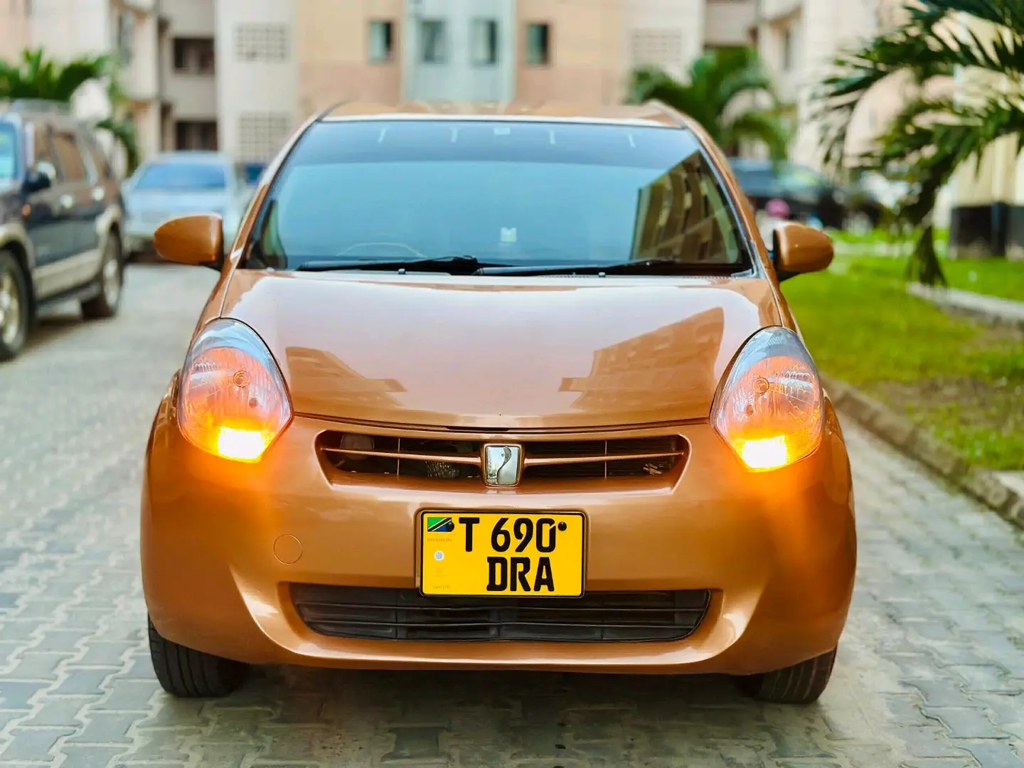 Toyota Passo (Copper)