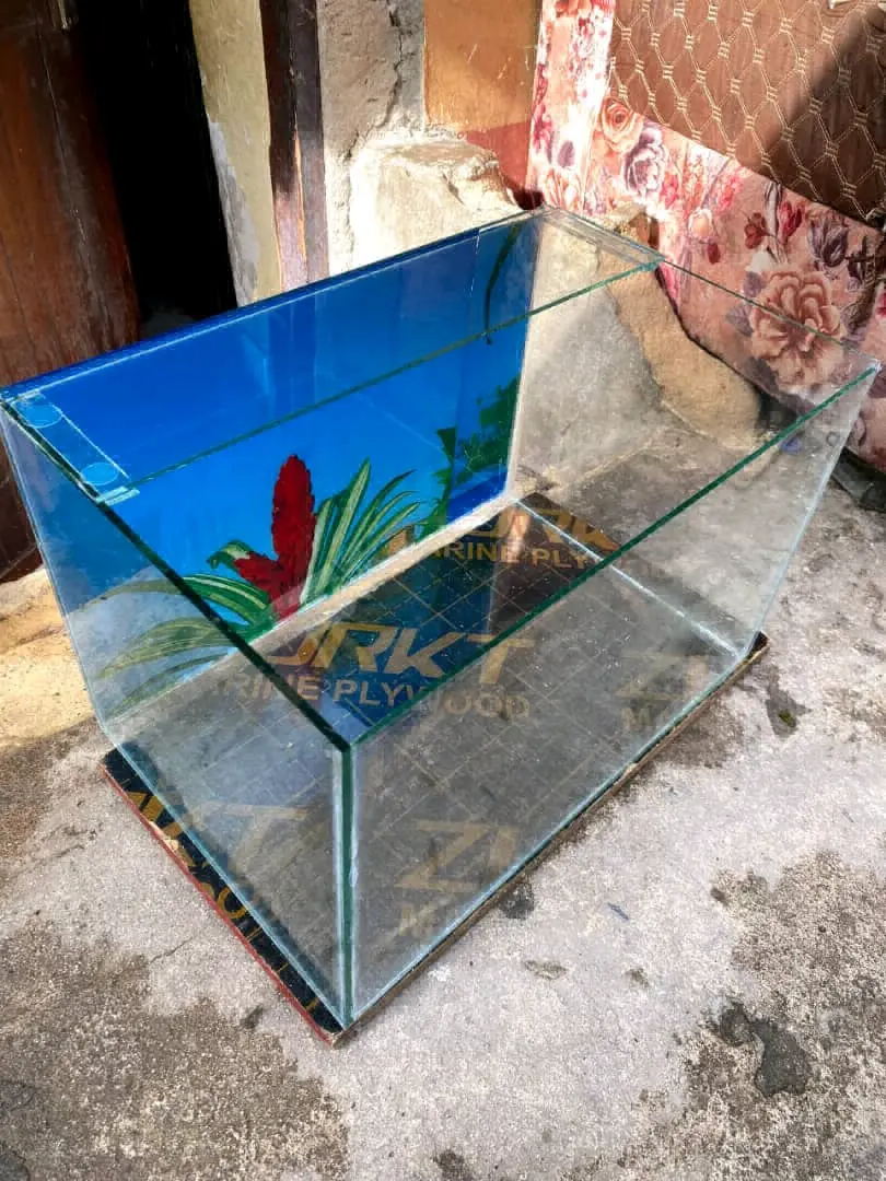 Aquarium Tank 20x12 Inches thumbnail 2