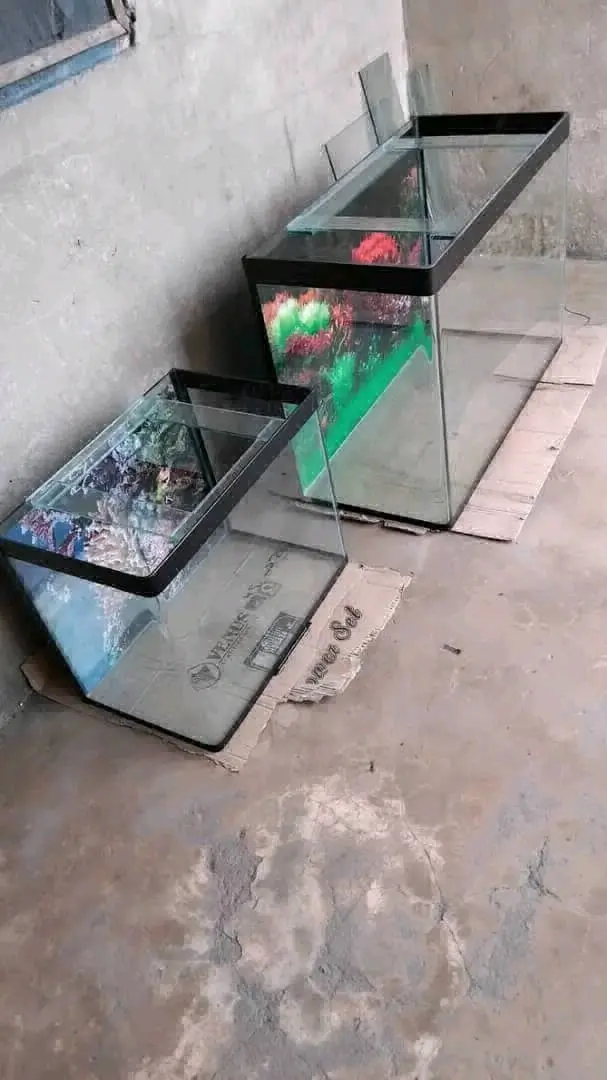Aquarium Tank 20x12 Inches thumbnail 4