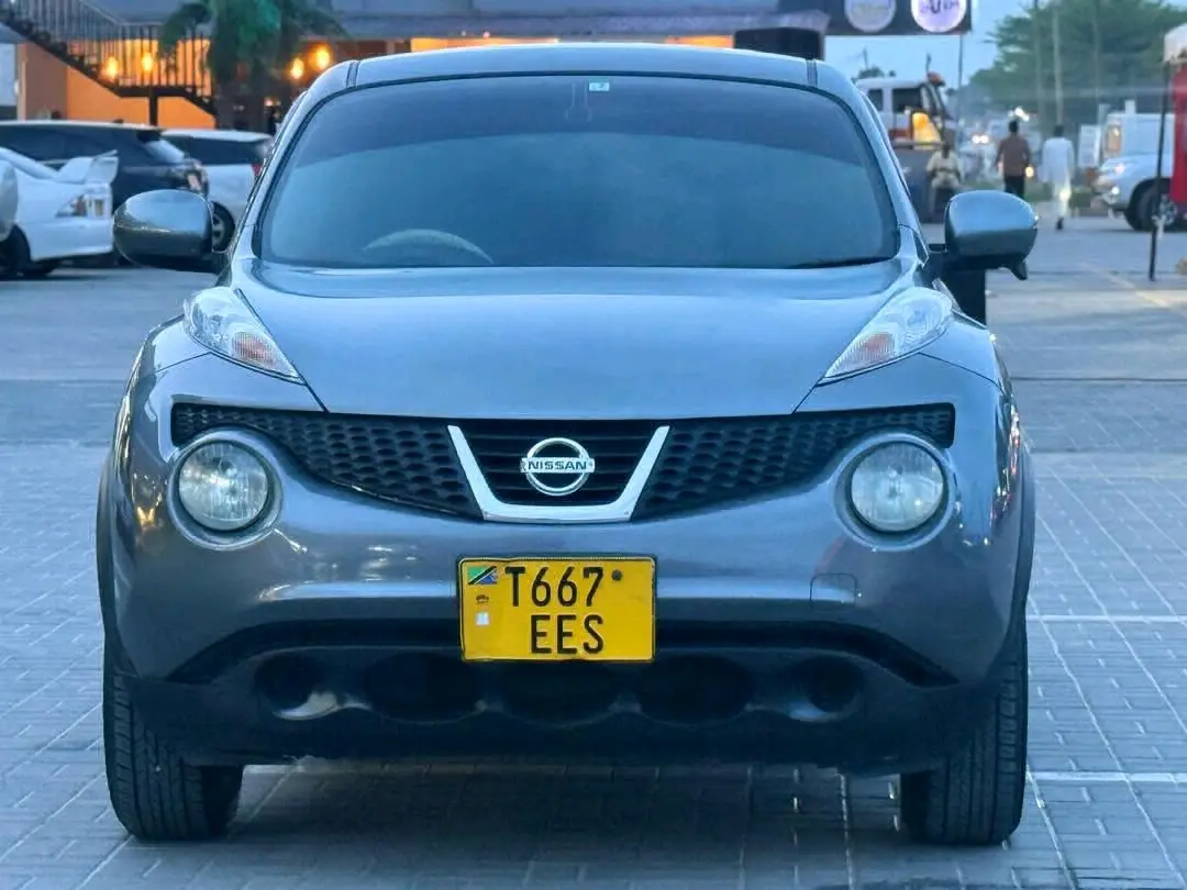 Nissan Juke (Grey)