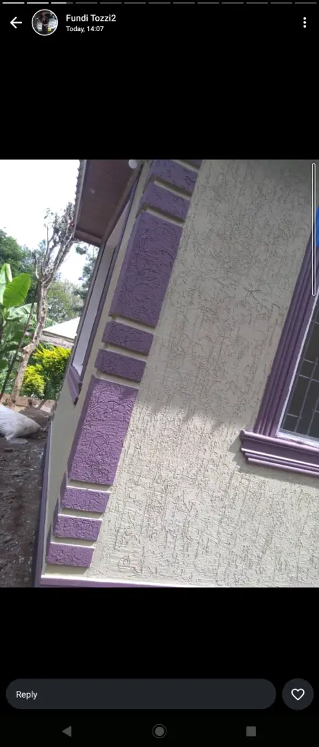 Painting and Skimming Services for Homes thumbnail 7