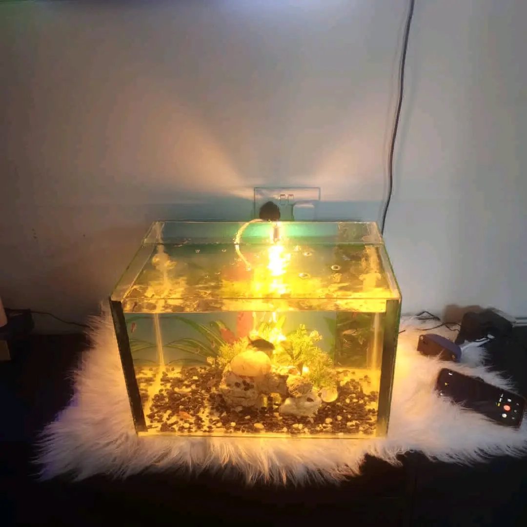 20L Fish Tank Setup with 10 Fish and Full Accessories