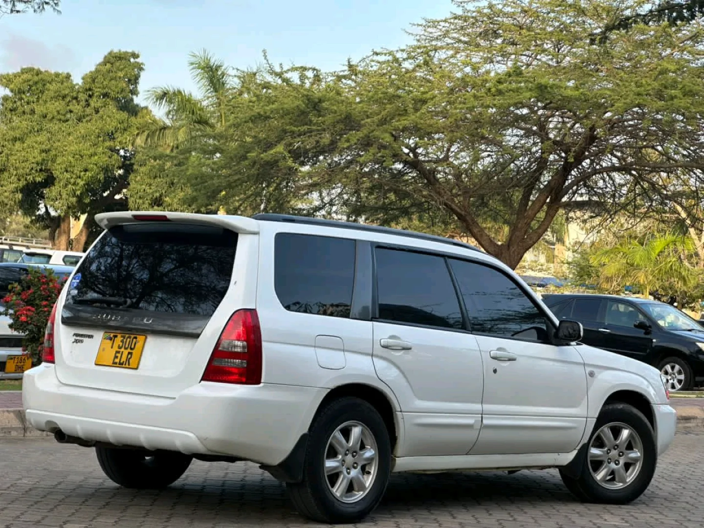 Subaru Forester Cross Sport SUV 2005 thumbnail 4