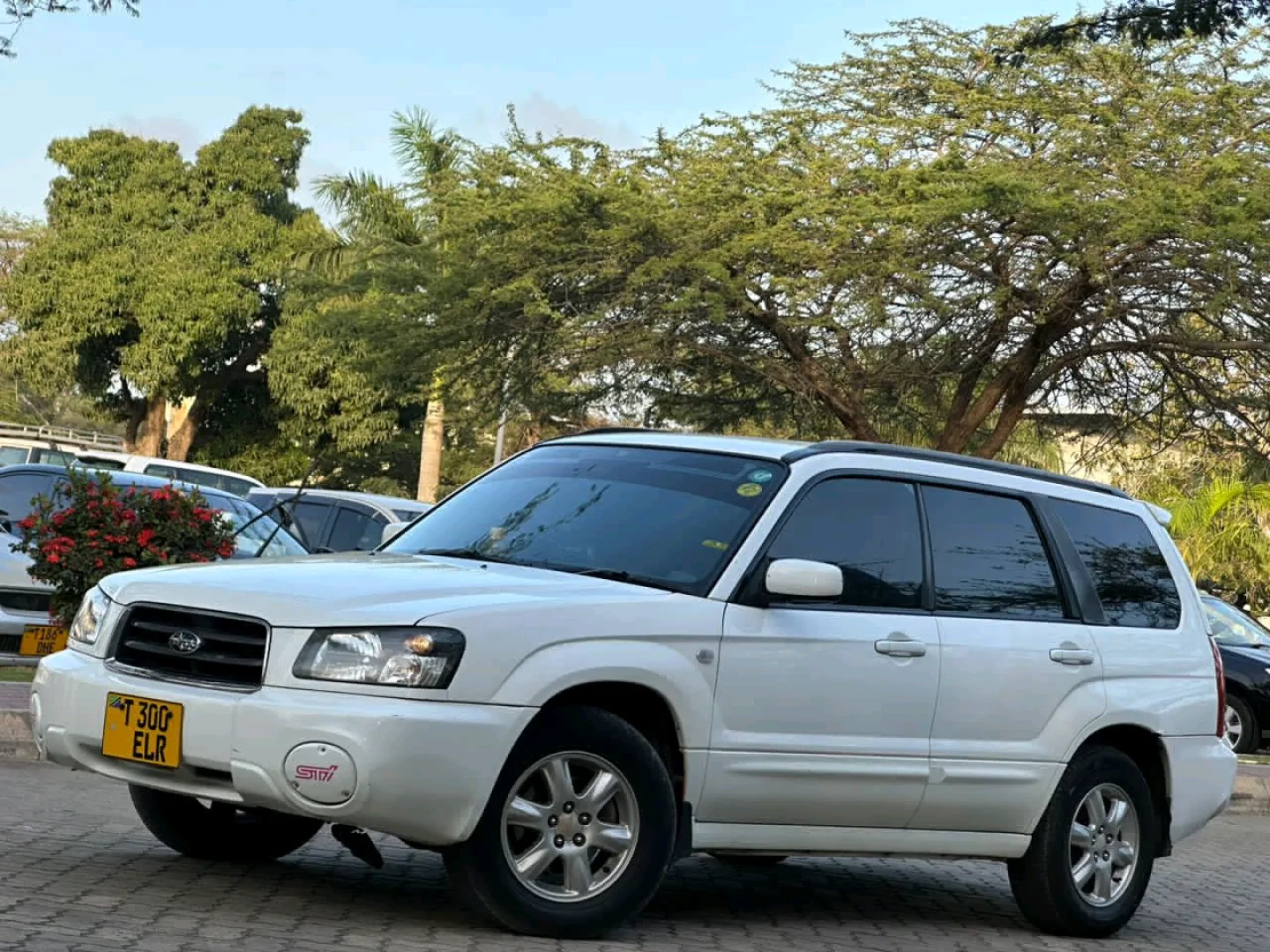 Subaru Forester Cross Sport SUV 2005 thumbnail 5