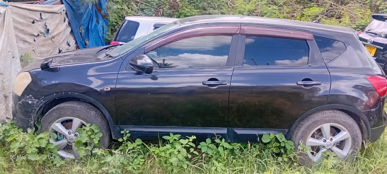 Nissan Dualis thumbnail 3