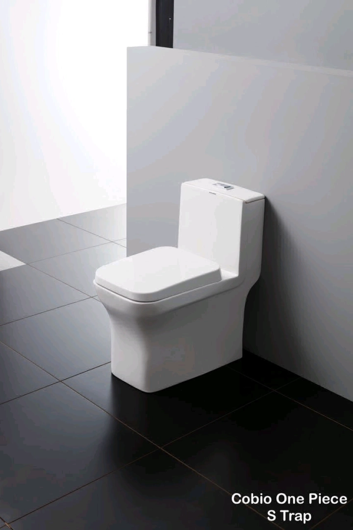 White Modern One-Piece Sitting Toilet (Cobio)