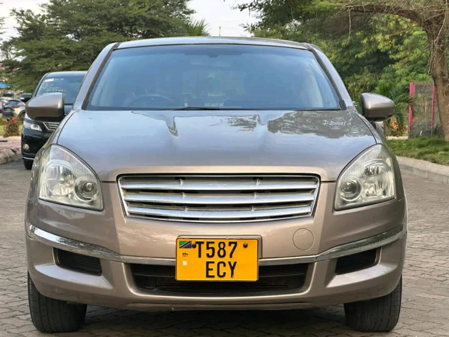 2008 Nissan Dualis Gold