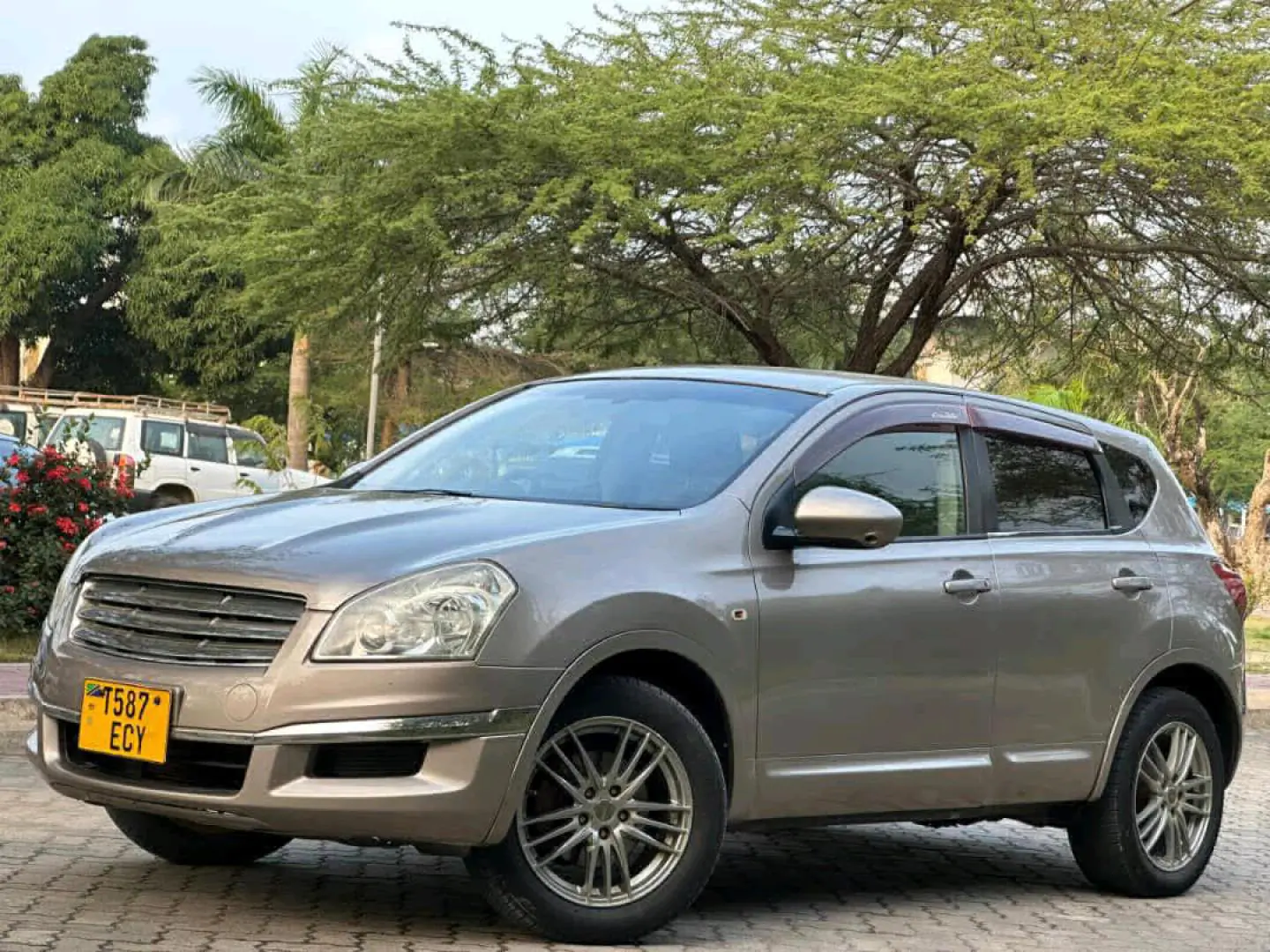 2008 Nissan Dualis Gold thumbnail 2