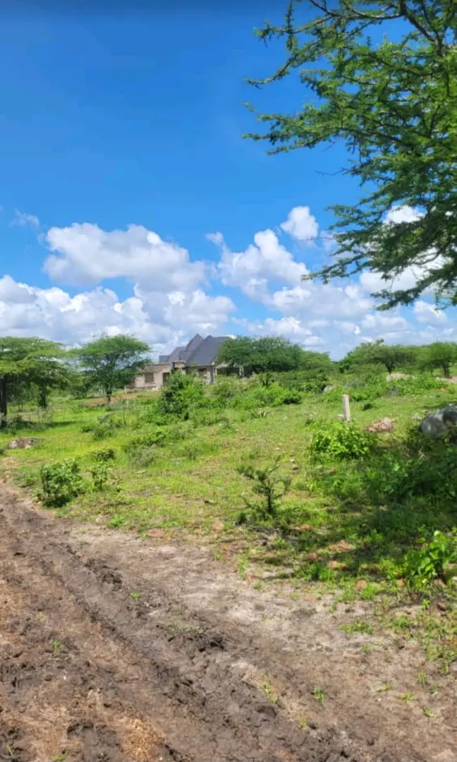 Viwanja vya Bei Nafuu